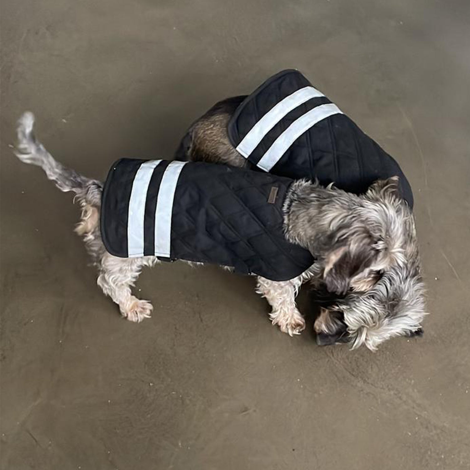 Hundemantel Jacken für Hunde Regenjacke für Hunde Hundemäntelchen